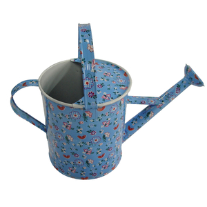 Sprinkle Kettle 7
