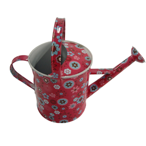 Sprinkle Kettle 10