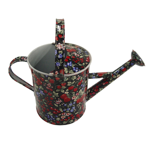 Sprinkle Kettle 9
